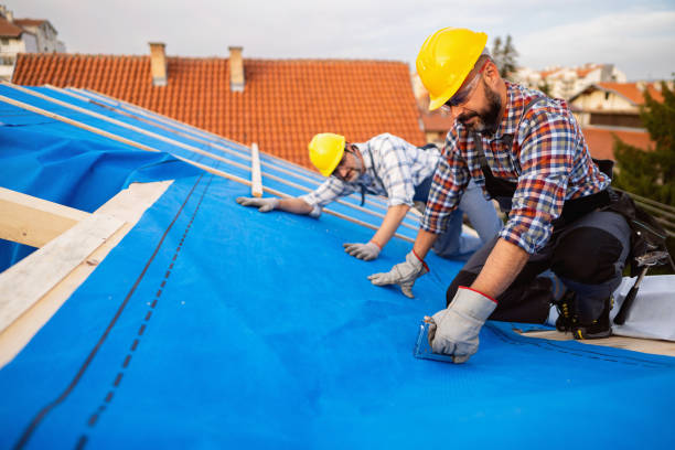 Best Roof Gutter Cleaning  in Wolfhurst, OH